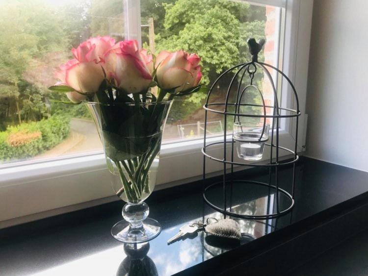 Vakantiewoning D'Hoppe Flobecq Exteriér fotografie